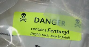 DA Jared Williams weighs in on President Trump's HALT Fentanyl Act