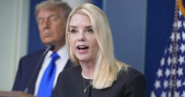 DOJ to launch grand jury probe over Russia allegations against Obama officials