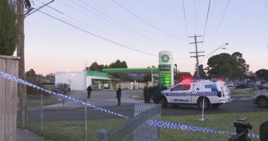 Dandenong stabbing a 'targeted' attack, police believe