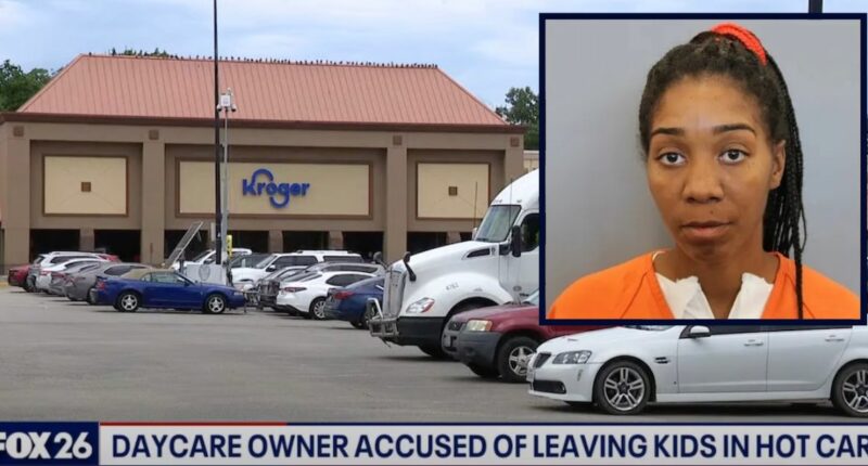 Day care owner left 5 kids in hot car to shop: Police