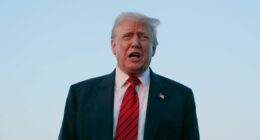 Donald Trump praises Hollywood actress after 'Nazi' campaign backlash: ‘It’s fantastic’