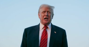 Donald Trump praises Hollywood actress after 'Nazi' campaign backlash: ‘It’s fantastic’
