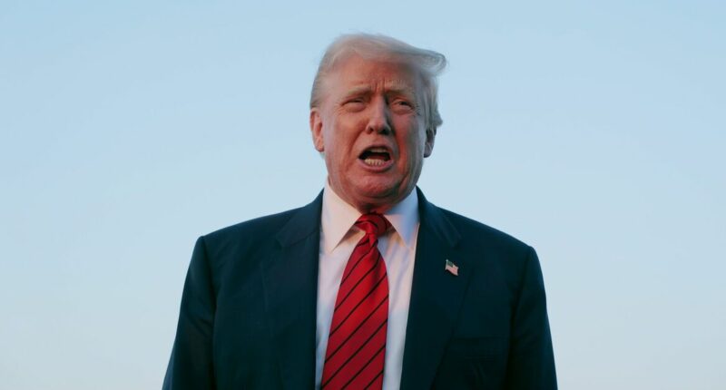 Donald Trump praises Hollywood actress after 'Nazi' campaign backlash: ‘It’s fantastic’