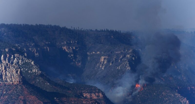 Dragon Bravo Fire near Grand Canyon grows to more than 116K acres
