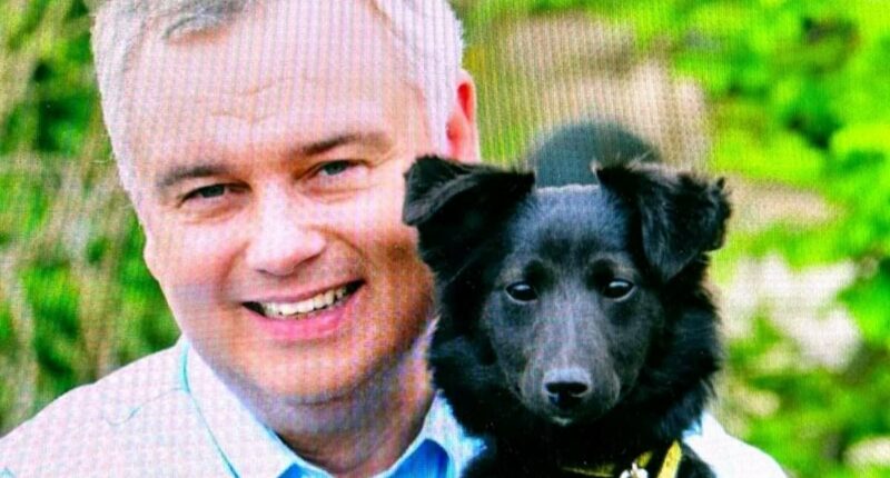 Eamonn Holmes shares tribute to his dog Maggie after custody battle