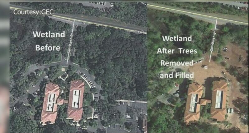 Environmental advocates file petition for rehearing in Glynn County wetlands case