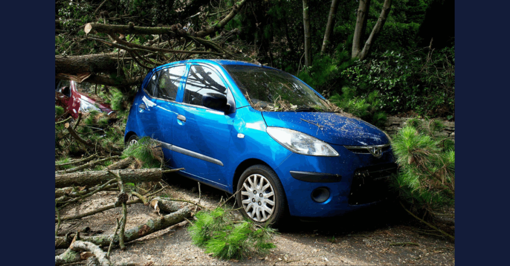 Essential legal steps everyone should know