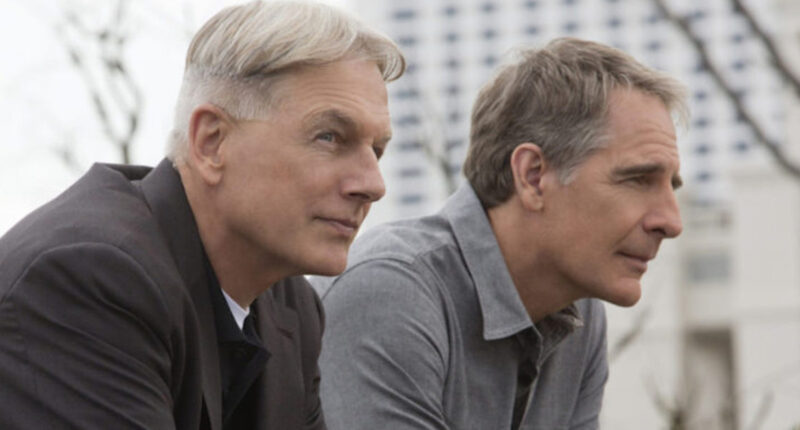 Every NCIS Spin-Off Series Ranked From Worst To Best