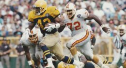 Ex-NFL player convicted of dog-fighting-related charges, 190 dogs seized