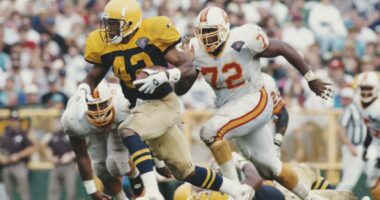 Ex-NFL player convicted of dog-fighting-related charges, 190 dogs seized