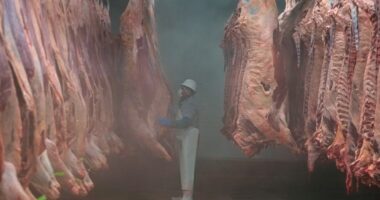 Expect beef prices to go up, as imports from Mexico remain in short supply due to screwworm fears