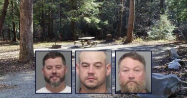 Father and daughter attacked by group during camping trip