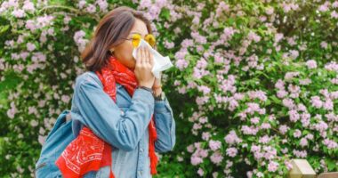 Feeling sniffly lately? Allergens may be the cause