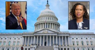 Fight over DC police escalates with Trump, Bondi lawsuit