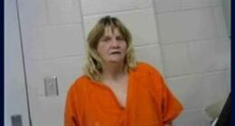 Florida woman allegedly stole from stores across South