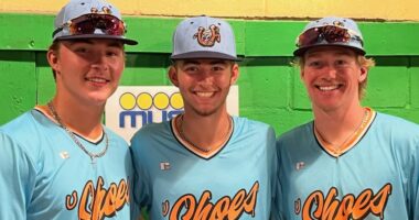 Former Williamsville teammates reuniting with UIS baseball
