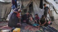 From dawn to dusk, a Gaza family focuses on one thing: finding food