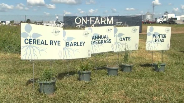 From the Farm: Cover crop demonstrations at the Farm Progress Show