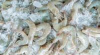 Frozen shrimp sold at Walmart may be radioactive, FDA warns