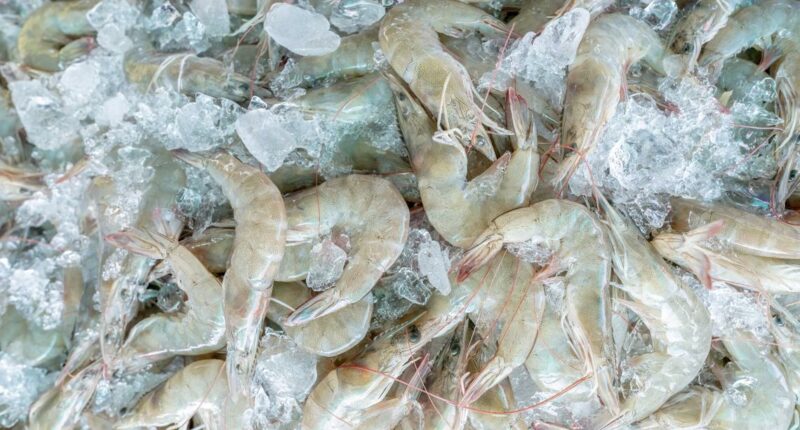 Frozen shrimp sold at Walmart may be radioactive, FDA warns