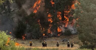 Gifford Fire burns more than 125K acres across central California