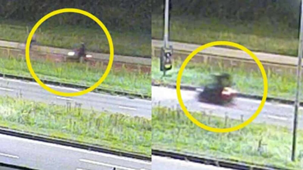 Girl, 17, is stabbed to death while calling cops to report being followed on her bike ride home in Holland as cops arrest asylum seeker 'who raped woman days earlier'