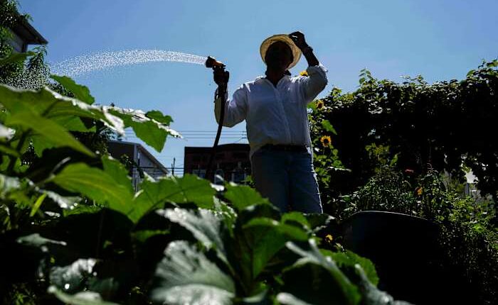 Green spaces are key to combating record heat in marginalized communities