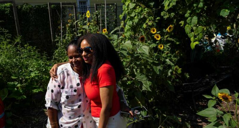 Green spaces are key to combating record heat in marginalized communities