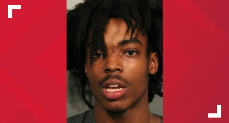 Guilty plea and 20-year sentence in Febres murder case