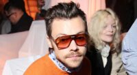 Harry Styles set to start work on mega-mansion 