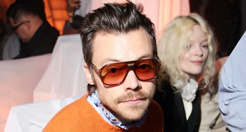 Harry Styles set to start work on mega-mansion 