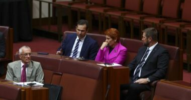 Nationals Senator Matt Canavan, Senator Pauline Hanson, Senator Tyron Whitten and Warwick Stacey in the upper house July 28, 2025.