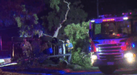 Perth crash