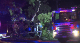 Perth crash