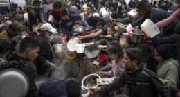 Hunger crisis in Gaza deepens criticisms of Israel on Capitol Hill