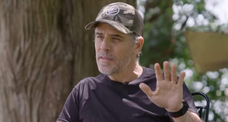 Hunter Biden hurls defiant eight-letter expletive when asked if he'll apologize to Melania Trump