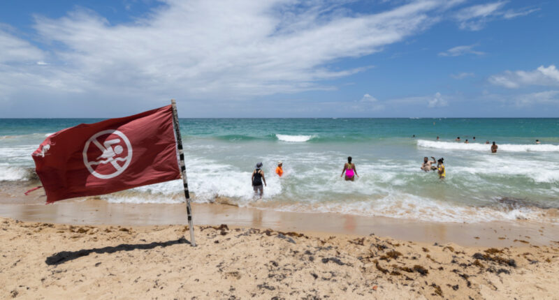 Hurricane Erin explodes in strength to a Category 5 storm in the Caribbean