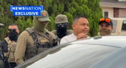 ICE arrests man with child sexual abuse convictions