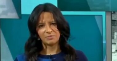ITV will NOT launch an investigation into Good Morning Britain despite sparking outrage with Holocaust blunder 'too big and humiliating to ignore'