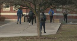 Illinois schools to implement annual mental health screenings starting in 2027