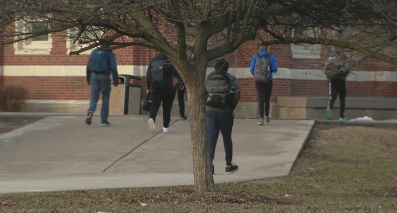 Illinois schools to implement annual mental health screenings starting in 2027