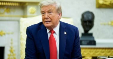 Indiana woman arrested amid threatening to kidnap & assassinate Trump