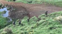 Inside the minds of the three New Zealand children kidnapped by their warped dad and taken into the wilderness for FOUR YEARS