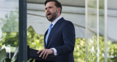 JD Vance slams critics of Sydney Sweeney’s American Eagle campaign