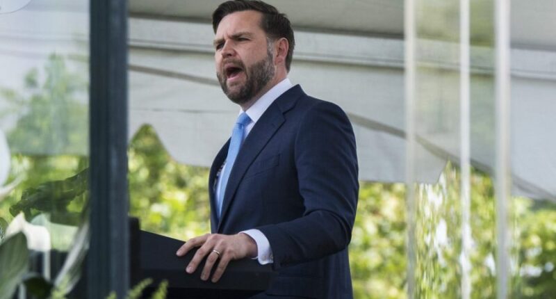 JD Vance slams critics of Sydney Sweeney’s American Eagle campaign