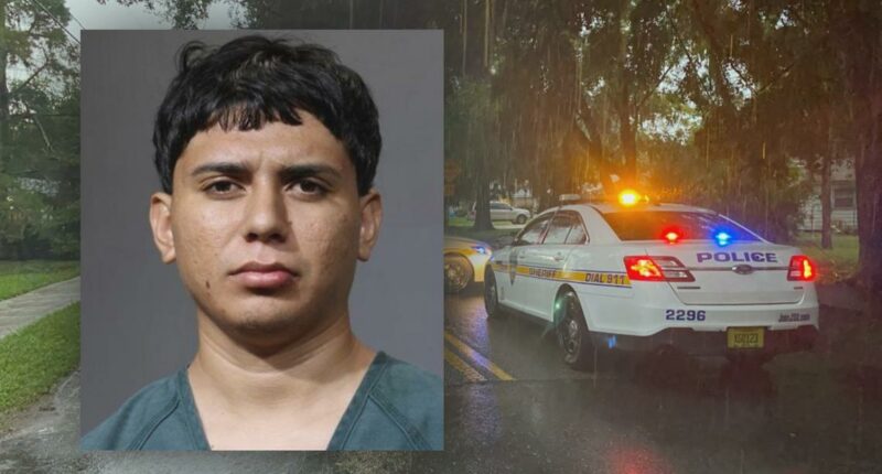 JSO: Son of woman fatally stabbed on Peach Drive arrested
