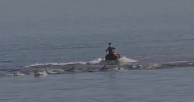 Jet-skiers could face $100,000 fine over 'perilous' dolphin act