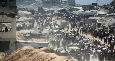 Journalist tries to set record straight on Gaza food distribution
