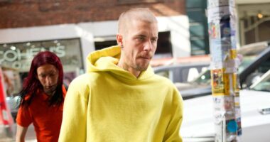 Justin Bieber Teases Breaking 'Another Olive Branch' in Cryptic Post