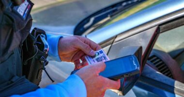 Kentucky driver's license fraud scheme targeted migrants: Ex-clerk